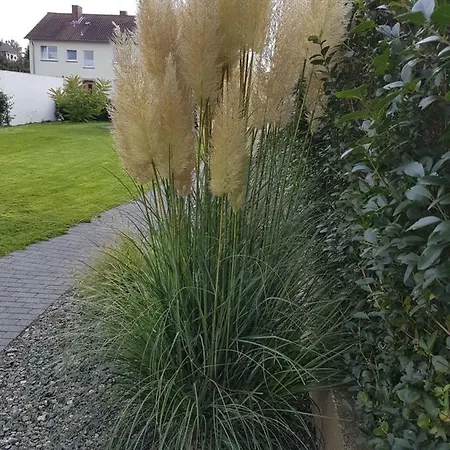 Pension Harleshausen-3